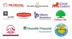 Vietnamese insurance firms target niche market ảnh 1 Vietnamese insurance firms target niche market ảnh 1