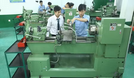 Labour shortage expected in farming, engineering ảnh 1