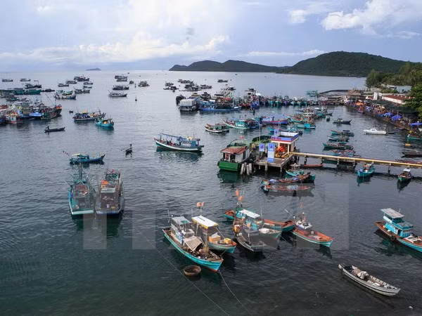 Kien Giang province seeks to develop sea-based economy ảnh 1