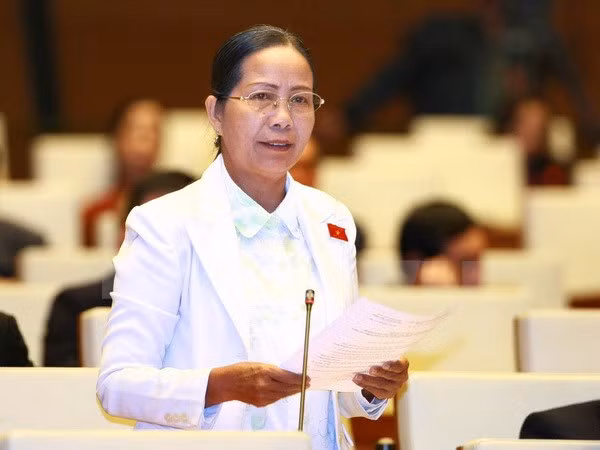 Legislators appreciate efforts by President, Government ảnh 1