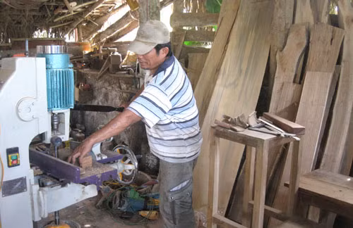 Thanh Hoa to develop rural industry ảnh 1