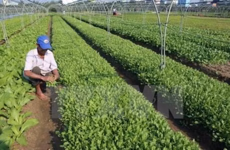 Quang Ninh invites investment in agriculture ảnh 1