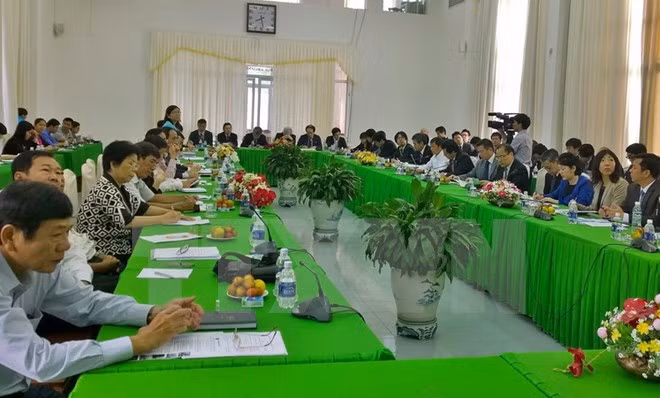 Japan eyes cooperation with Can Tho on hi-tech agriculture ảnh 1