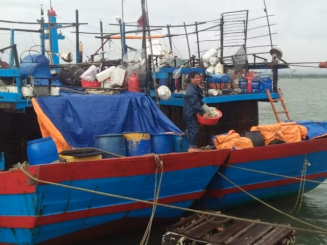 Low tropical pressure strengthens into storm ảnh 1