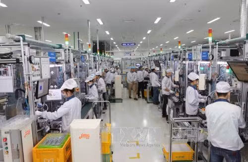 Deputy PM hails overseas Vietnamese businesses’ efforts ảnh 1 Deputy PM hails overseas Vietnamese businesses’ efforts ảnh 1