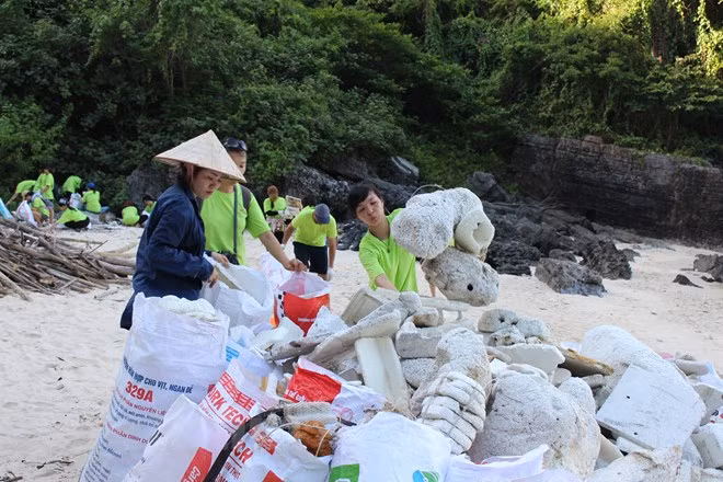 Artwork campaign aims to raise awareness of marine plastic pollution ảnh 1