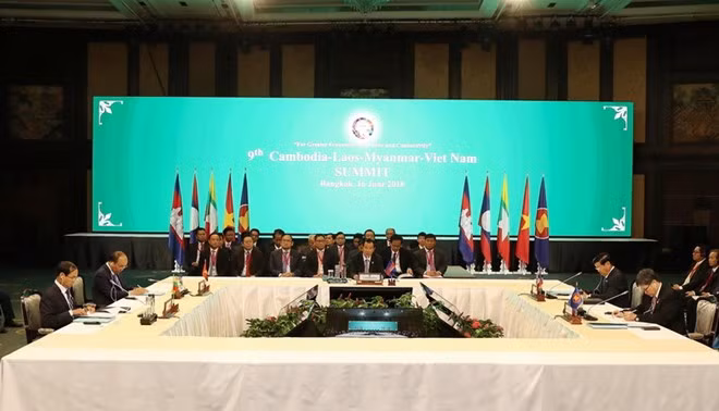 Vietnam helps promote sustainable development in Mekong Sub-region ảnh 1