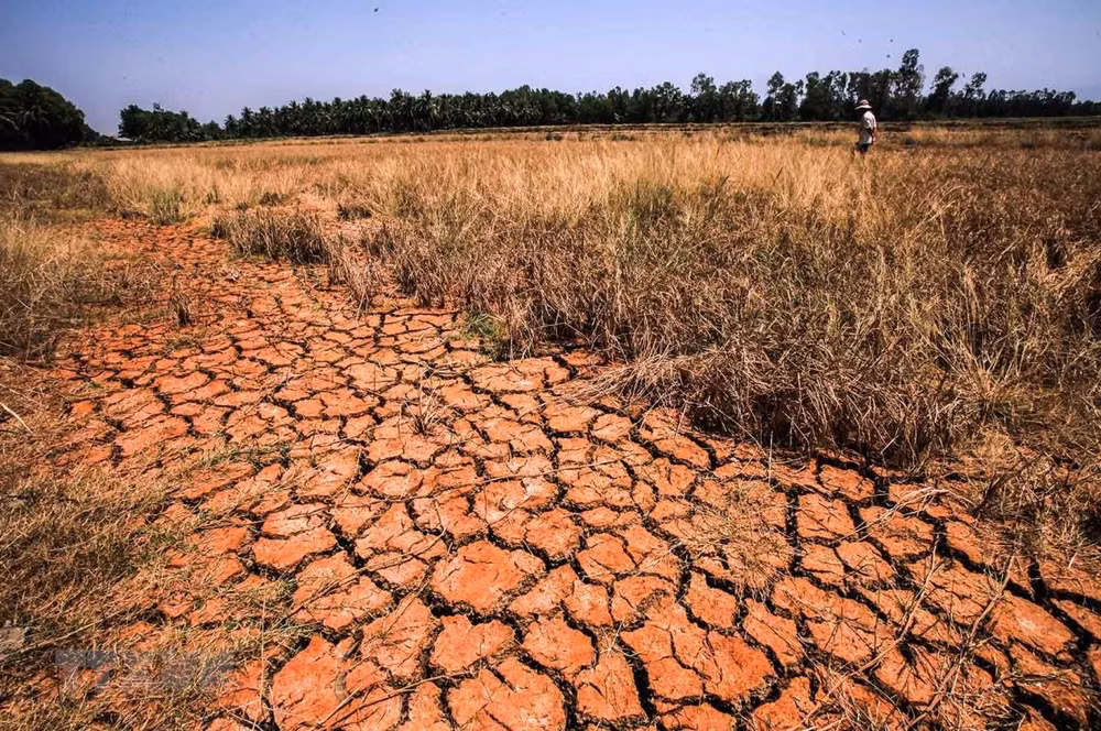 European countries implement climate change projects in Mekong Delta ảnh 1