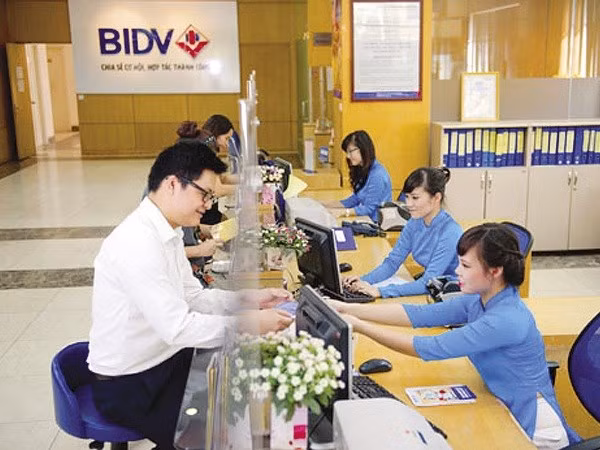 Capital mobilisation in Ho Chi Minh City up over 14 percent ảnh 1