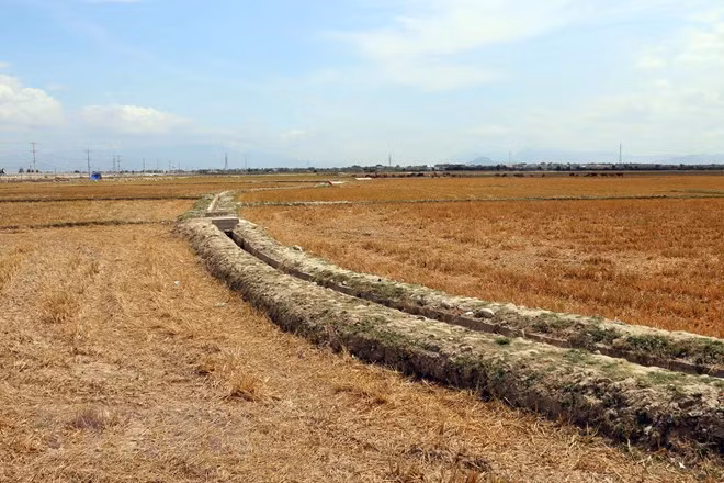 Meeting marks World Day to Combat Desertification ảnh 1