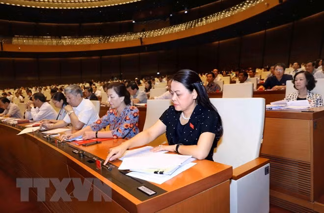 NA issues law-building programme for 2019, adjustments for 2018 plan ảnh 1