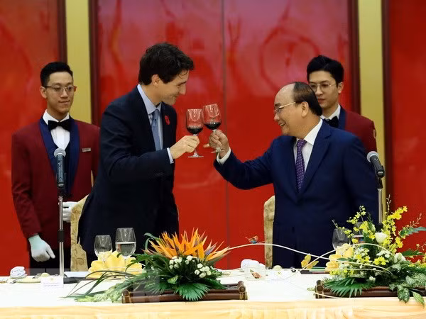 Vietnam-Canada relations to expand: official ảnh 1