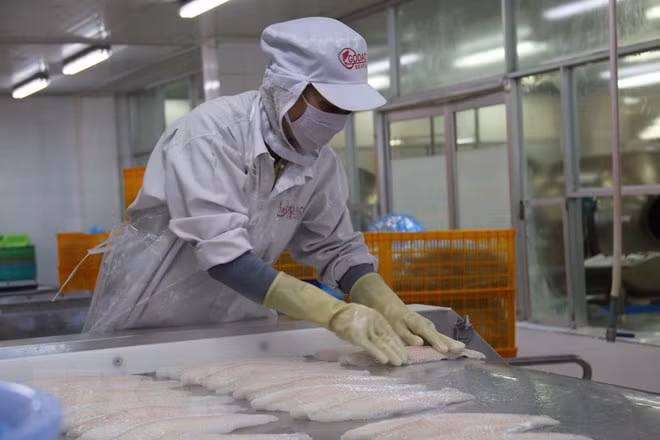Middle East- potential market for Vietnamese seafood ảnh 1