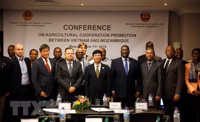 Vietnam, Mozambique further foster agricultural cooperation ảnh 1