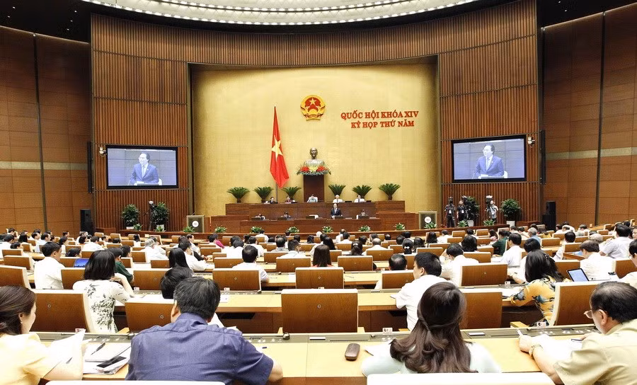 Lawmakers discuss bills on public security, animal husbandry ảnh 1