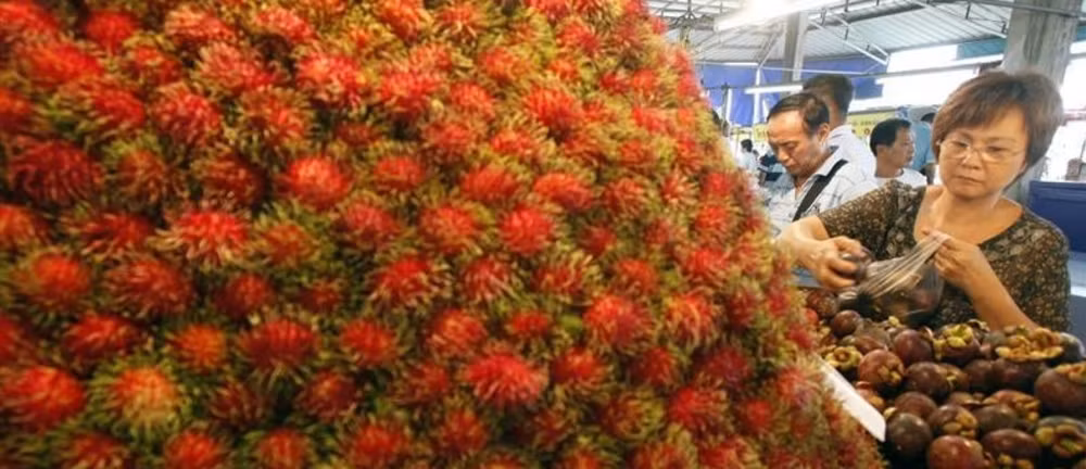 Thailand strives to become leading world food exporter ảnh 1