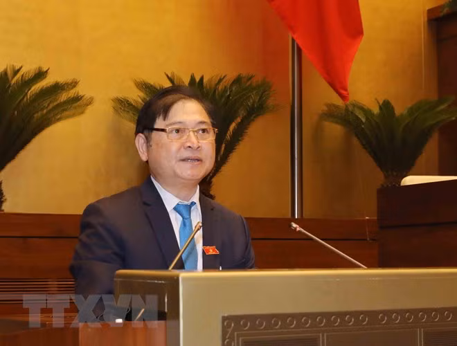 Lawmakers discuss draft laws on 11th working day ảnh 1