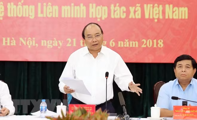 PM directs strengthening cooperatives at all levels ảnh 1