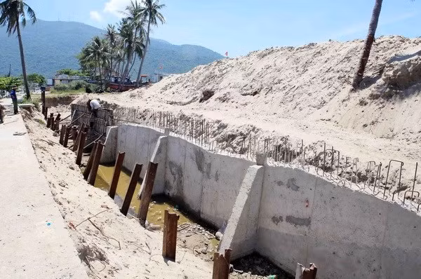 Various solutions to sea level rise in Vietnam ảnh 1