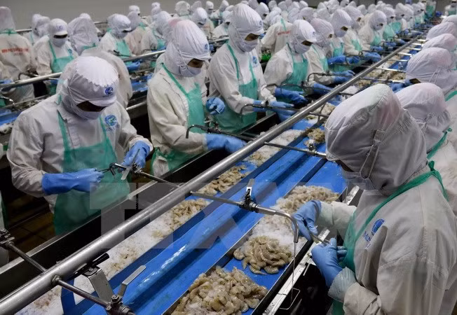 EU issues yellow card warning to Vietnam over fisheries exploitation ảnh 1