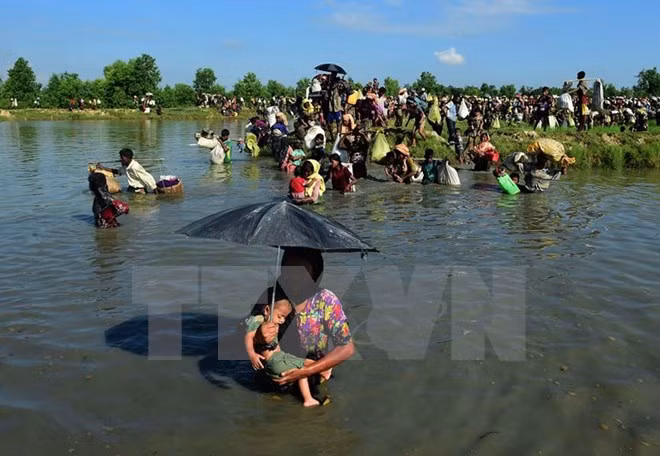 Over 7,000 granted national verification cards in Rakhine state ảnh 1