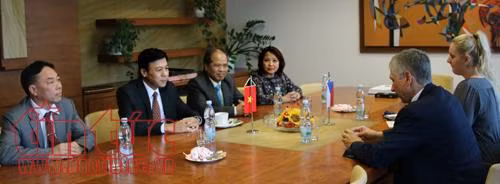 Ambassador helps bridge Vietnamese, Czech localities ảnh 1