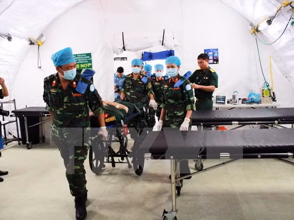 UN commits to supporting Vietnam in peacekeeping activities ảnh 1 UN commits to supporting Vietnam in peacekeeping activities ảnh 1