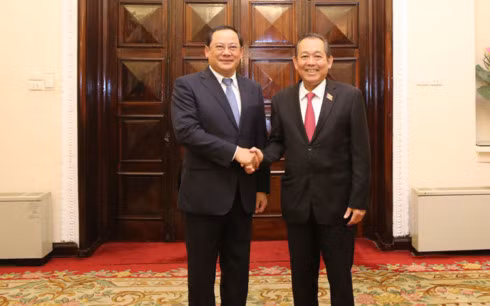 Vietnamese, Lao Deputy PMs hold talks ảnh 1