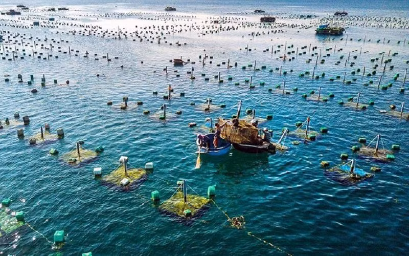 Vietnam’s aquaculture top position on world map ảnh 1