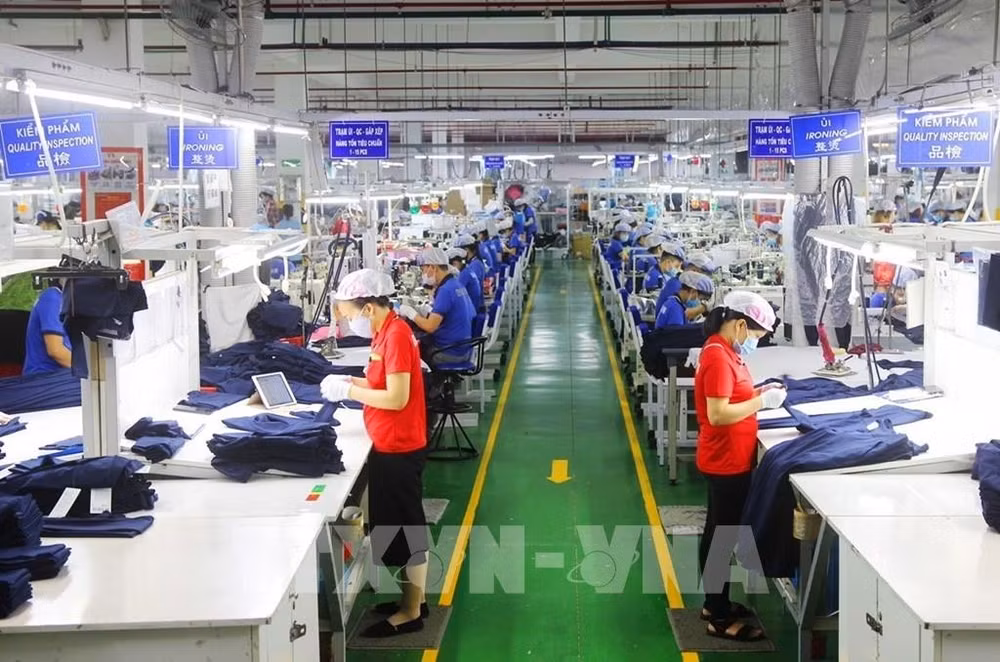 PMI back above 50 mark for first time in six months ảnh 1
