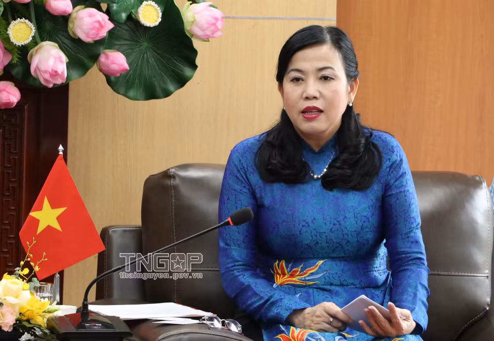 Thai Nguyen promotes cooperation in mining, education with Australia ảnh 1