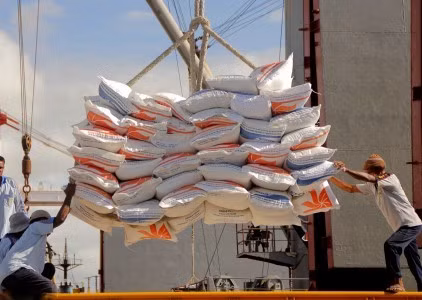 Indonesia mulls importing rice from many countries ảnh 1