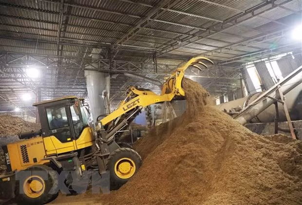 Ample room to fuel exports with wood pellets ảnh 1