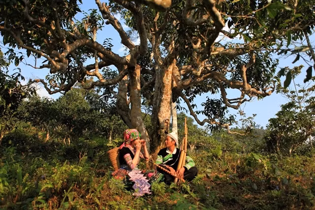 Efforts to promote products made by ethnic minorities ảnh 1