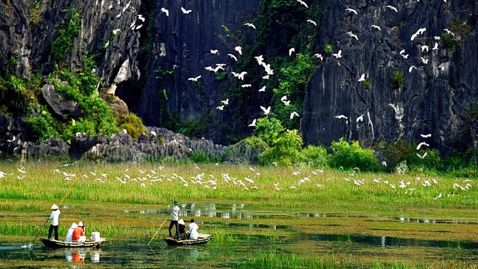 Eco-tourism development linked with biodiversity conservation under discussion ảnh 2