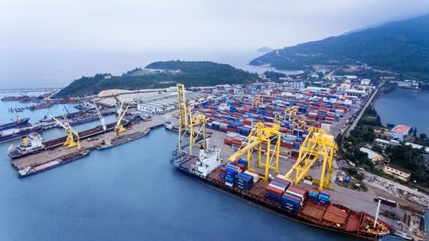 High sea freight rates hurting businesses ảnh 2