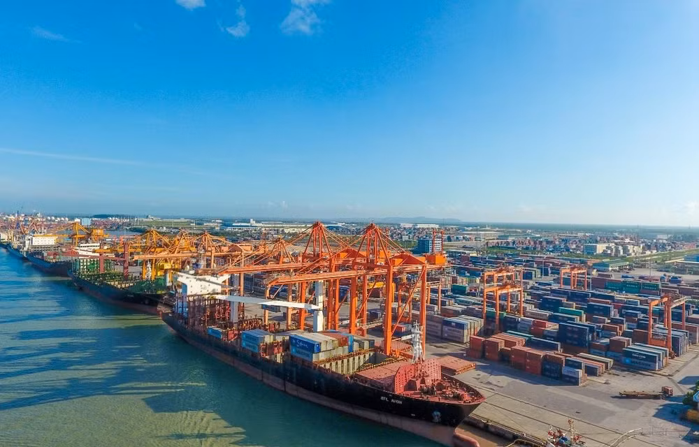 High sea freight rates hurting businesses ảnh 1