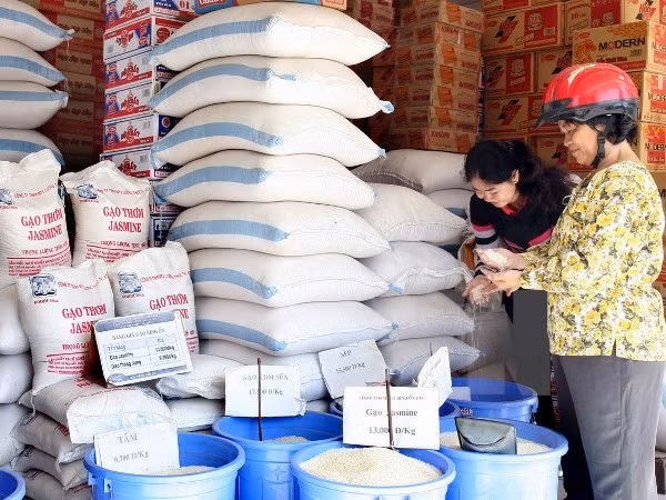 Logo design contest aims to promote Vietnamese rice trademark ảnh 1 Logo design contest aims to promote Vietnamese rice trademark ảnh 1