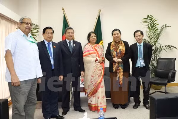 Vietnam develops relations with traditional partners ảnh 1