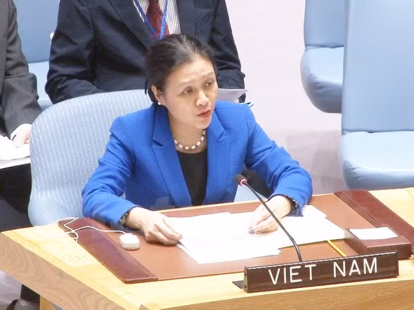 Vietnam calls for solutions to Israel-Palestine conflict, Syria war ảnh 1