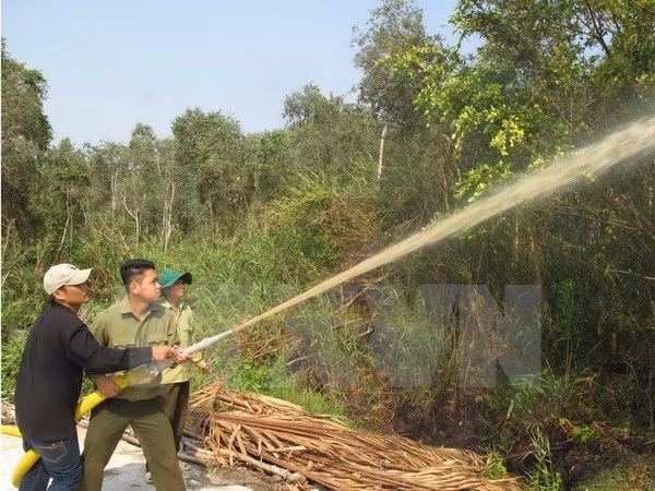Ca Mau: over 11,000 hectares of forest on red fire alert ảnh 1