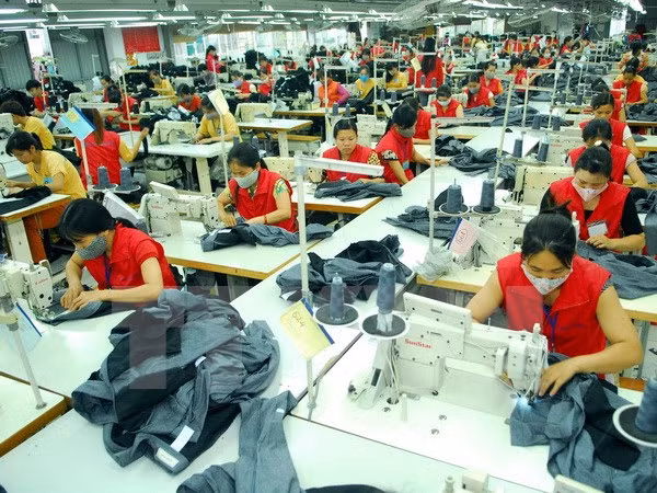 Forum discusses ways to develop export products ảnh 1