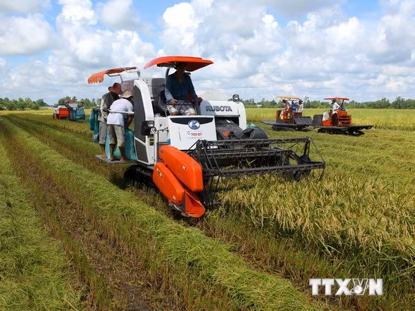 Mekong Delta has good economic governance ảnh 1 Mekong Delta has good economic governance ảnh 1