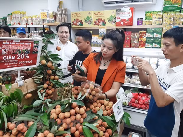 Vietnam's rapid growth offers opportunities to tighten trade relations with Japan ảnh 1