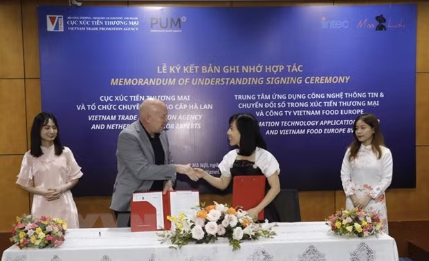 Vietnam, the Netherlands promote exports through digital environment ảnh 1