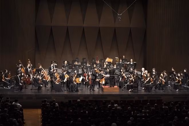 Concert marks 50th anniversary of Vietnam-Japan diplomatic relations ảnh 1
