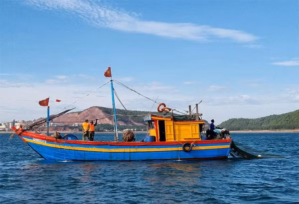 Nghe An tightens control over fishing activities ảnh 1