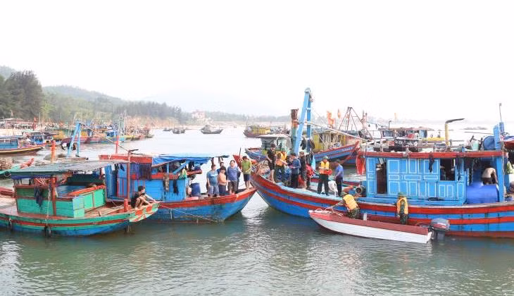 Ha Tinh cracks down on IUU fishing ảnh 1