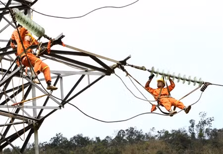 Expert urges Vietnam to reform energy sector ảnh 1