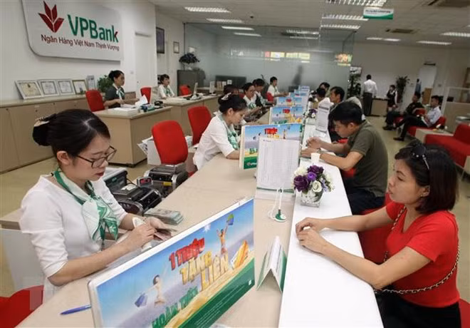Credit institutions expect better performance in 2019: survey ảnh 1
